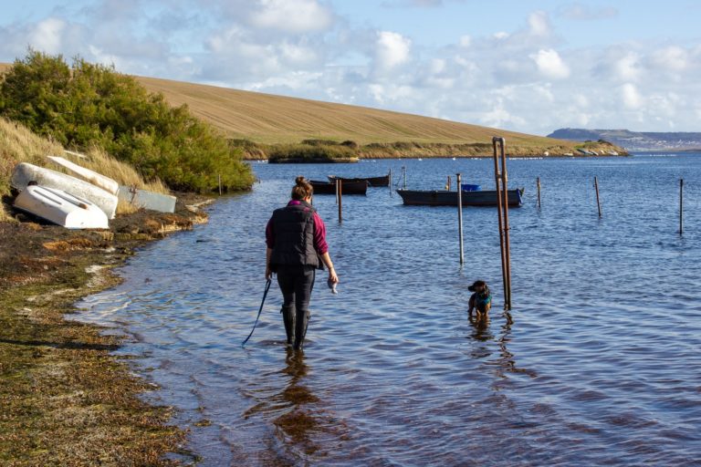 A black and tan Patterdale terrier in the sea with his female owner walking in the shore alongside him whilst holding a toy and a long line. The dog is looking at the owner waiting for her to throw the toy.