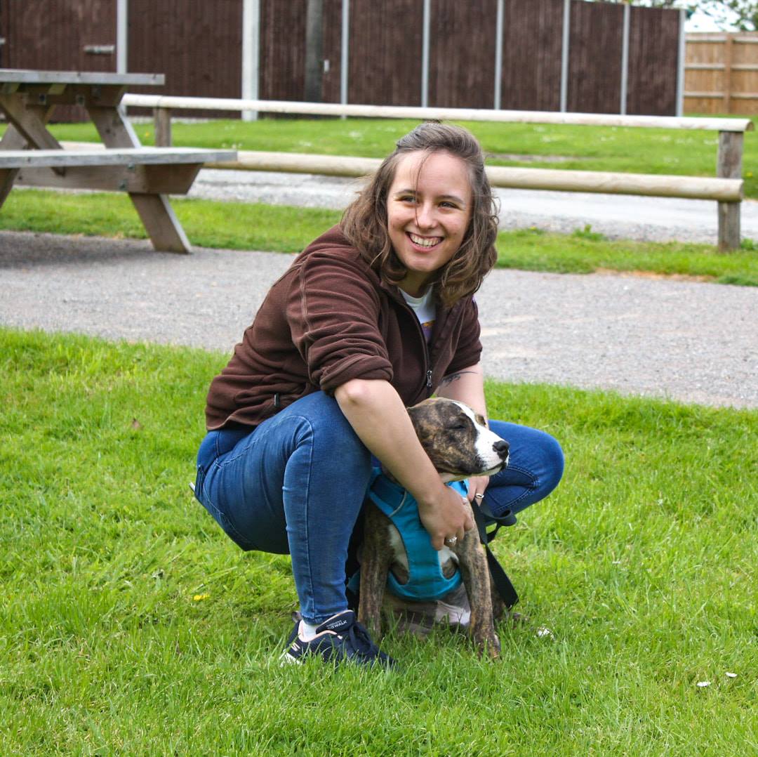 A mixed bull breed puppy sat between the legs of a young woman who is crouched down smiling at the camera and stroking the puppy on the chest.