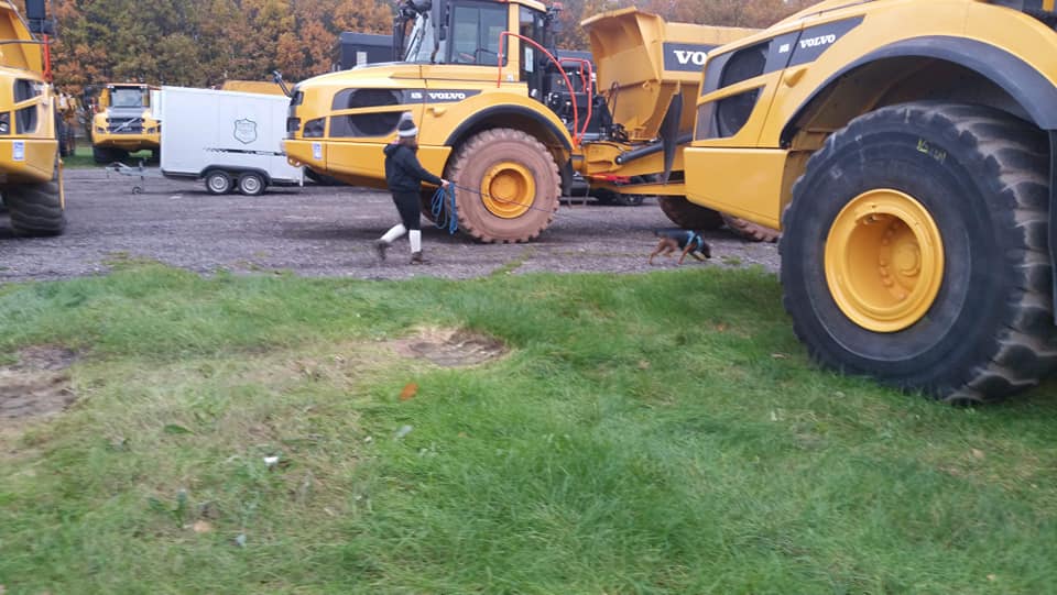 A black and tan Patterdale terrier at the end of a long line tracking with his owner behind him. Big farm machinery is around them.