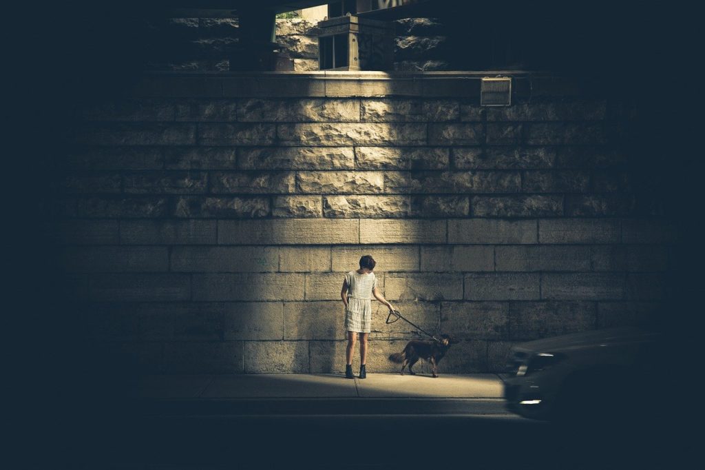 person, dog, urban