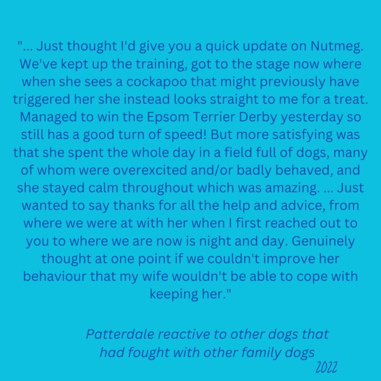 A client testimonial from 2022 about a Patterdale that was reactive to other dogs, even fighting with other dogs in the household that reads: "... Just thought I'd give you a quick update on Nutmeg. We've kept up the training, got to the stage now where when she sees a cockapoo that might previously have triggered her she instead looks straight to me for a treat. Managed to win the Epsom Terrier Derby yesterday so still has a good turn of speed! But more satisfying was that she spent the whole day in a field full of dogs, many of whom were overexcited and/or badly behaved, and she stayed calm throughout which was amazing. ... Just wanted to say thanks for all the help and advice, from where we were at with her when I first reached out to you to where we are now is night and day. Genuinely thought at one point if we couldn't improve her behaviour that my wife wouldn't be able to cope with keeping her."