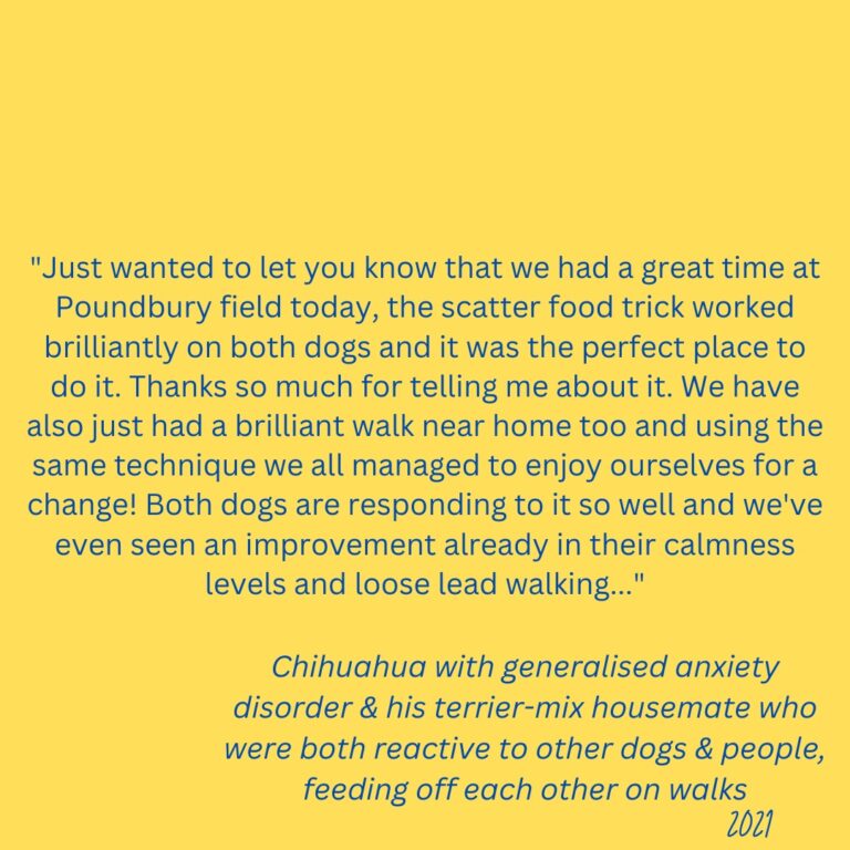 A client testimonial from 2021 that reads: "Just wanted to let you know that we had a great time at Poundbury field today, the scatter food trick worked brilliantly on both dogs and it was the perfect place to do it. Thanks so much for telling me about it. We have also just had a brilliant walk near home too and using the same technique we all managed to enjoy ourselves for a change! Both dogs are responding to it so well and we've even seen an improvement already in their calmness levels and loose lead walking..."