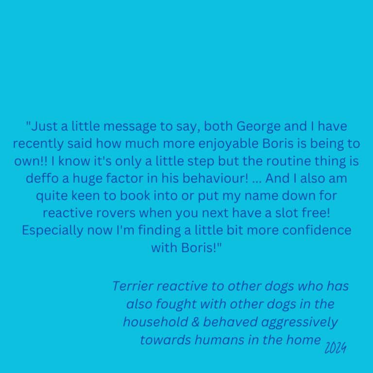 A testimonial from a 2024 client who had a terrier that was reactive to other dogs, had fought with other dogs in the household and behaved aggressively towards humans in the household that says: "Just a little message to say, both George and I have recently said how much more enjoyable Boris is being to own!! I know it's only a little step but the routine thing is deffo a huge factor in his behaviour! ... And I also am quite keen to book into or put my name down for reactive rovers when you next have a slot free! Especially now I'm finding a little bit more confidence with Boris!"